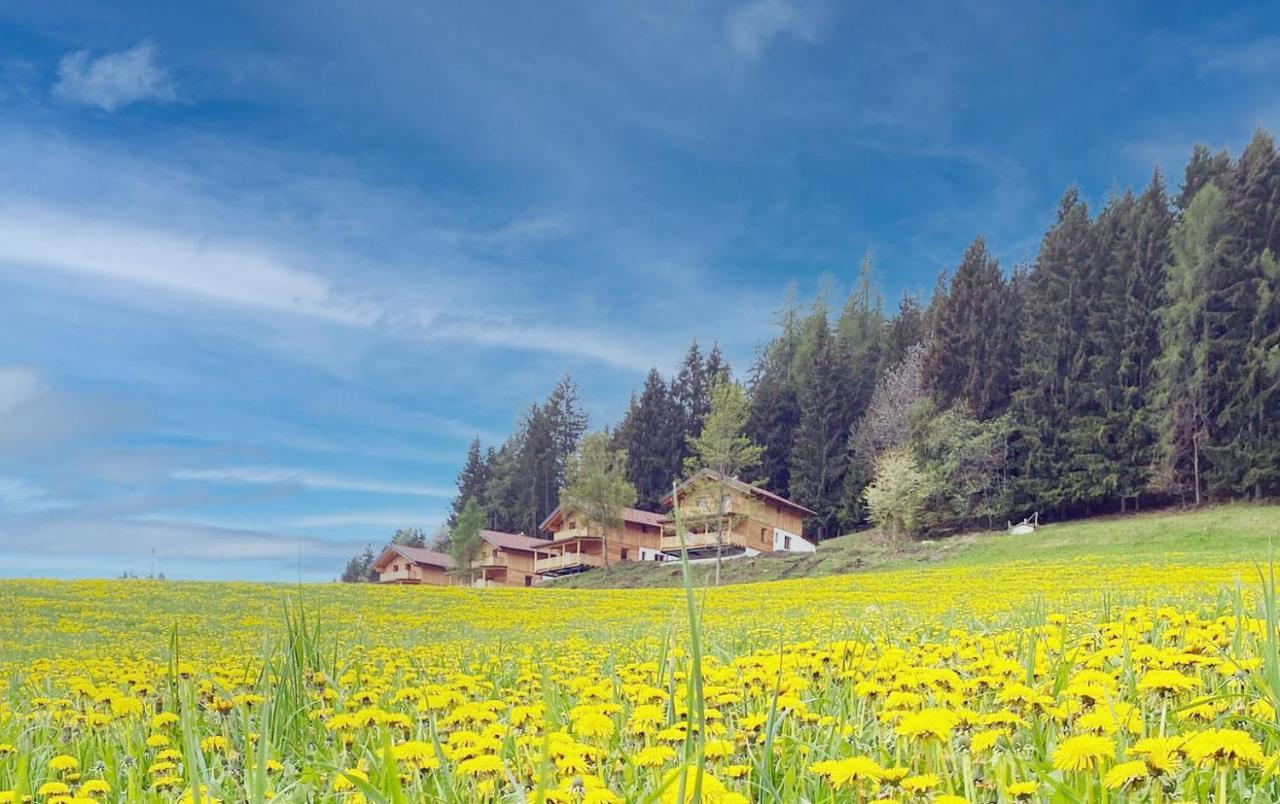 Hochleben-Chalets Am Erlebnisbauernhof Steinerhof Liebenfels エクステリア 写真