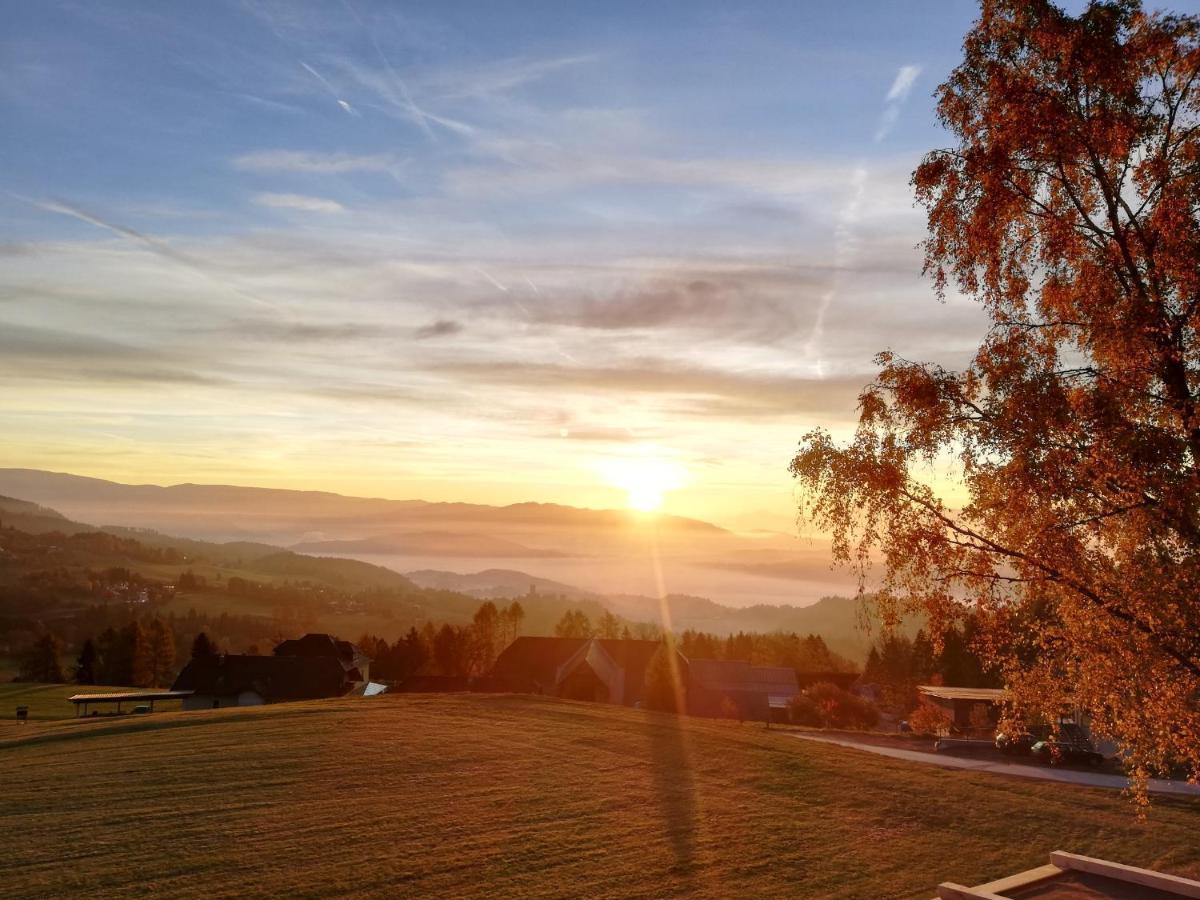 Hochleben-Chalets Am Erlebnisbauernhof Steinerhof Liebenfels エクステリア 写真