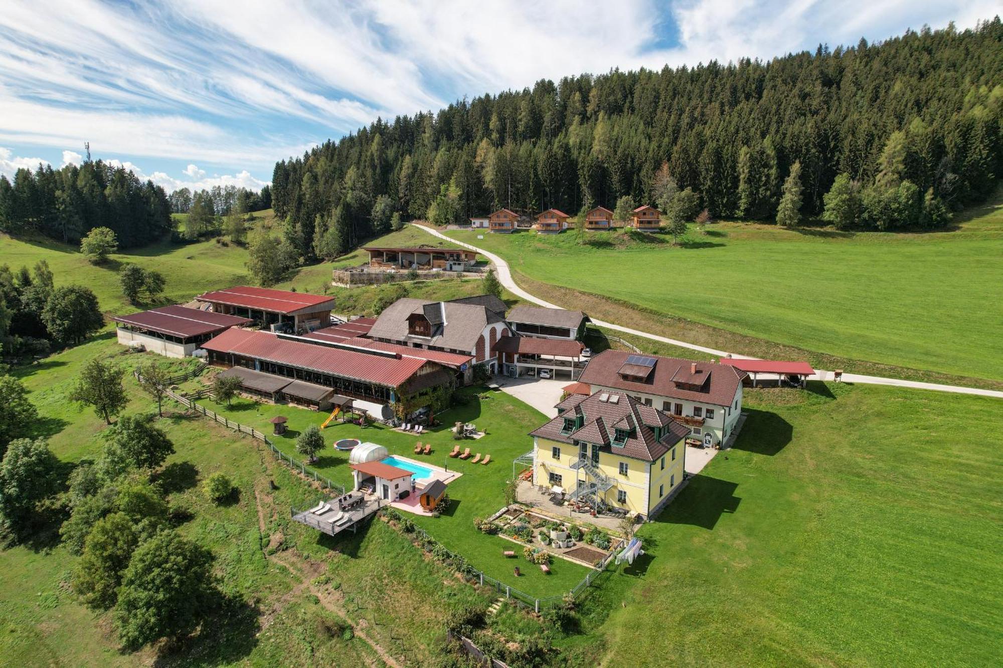Hochleben-Chalets Am Erlebnisbauernhof Steinerhof Liebenfels エクステリア 写真